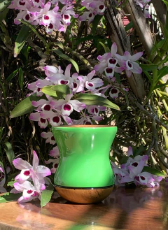 Cuia Para Chimarrão em Madeira PRIMAVERA Diversas Cores - comprar online