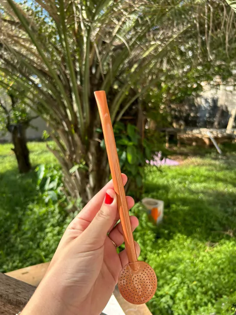 Bomba de Chimarrão Inox Colorida Perolada Sem Rosca Diversas Cores - comprar online