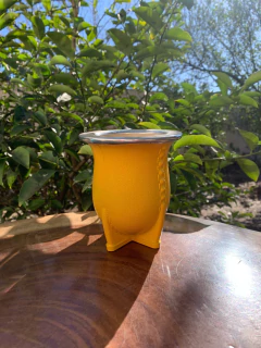 Cuia de Chimarrão Porongo Torpedo Bocal Inox Colorida + Tapa Erva - loja online