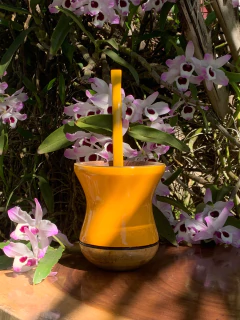 Kit Chimarrão: Cuia de Madeira + Bomba Inox Colorida PRIMAVERA Diversas Cores - loja online