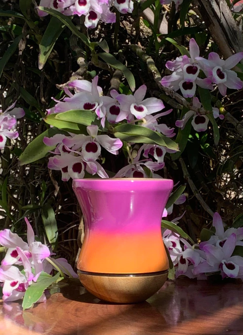 Cuia Para Chimarrão em Madeira PRIMAVERA Diversas Cores