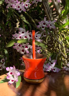 Imagem do Kit Chimarrão: Cuia de Madeira + Bomba Inox Colorida PRIMAVERA Diversas Cores