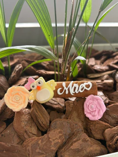 Biscuit Mãe Coruja Canela - comprar online