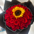 50 Rosas + 1 Girasol