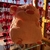 Peluche de cochito gordito