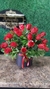 Cilindro 36 Rosas Rojas