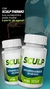 Sculp Thermo 2 Unidades Ambos 30 Cáps. - loja online