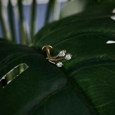 Piercing Labret Helix Ramo Zircônias Dourado - comprar online