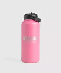 Metal Insulated Straw Bottle 1L - comprar en línea