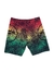 Imagem do Bermuda Surf STS "Reggae"