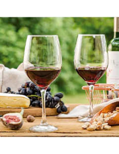 Conjunto 06 Taças para Vinho Barone Nadir 490ml na internet