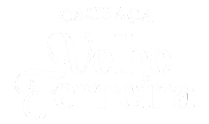 Velho Ferreira