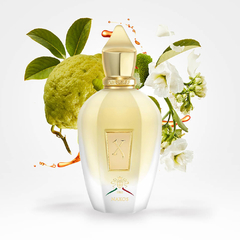 Perfume Xerjoff Naxos EDP Unissex 100ml - comprar online