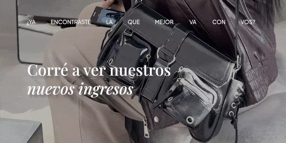 Banner de Yanina.bags