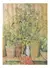 ROMPECABEZA CÉZANNE - MACETAS DE TERRACOTA Y FLORES - PUZZLE - Paperblanks