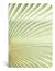 CUADERNO ORI CADENCIA