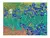 ROMPECABEZAS LIRIOS DE VAN GOGH 1000 PIEZAS - tienda online