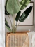 PORTAMACETA KOSEI CUADRADO - tienda online