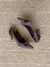 Zapatitos Chocolate - comprar online