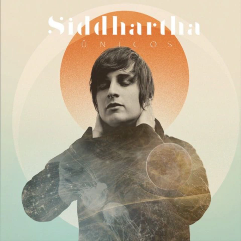- SIDDHARTHA PACK COMPLETO DISEÑOS DTF SEMITONOS PNG