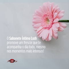 Bem Me Quero Sabonete Íntimo Lush 120ml na internet