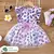 Conjunto de 2 piezas - Top Animal Print y falda con tul superpuesta - comprar online
