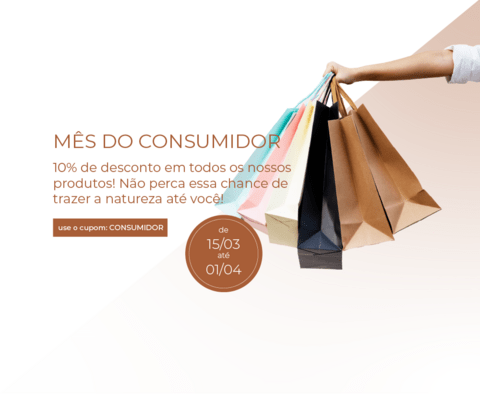 Carrossel 1