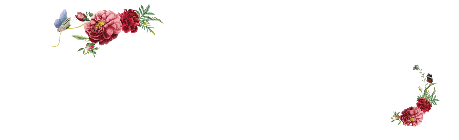 Fruto Da Prata