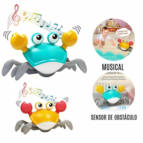 CANGREJO GATEADOR INTERACTIVO