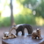 Animalitos de Madera Oso Hormiguero en internet