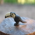 Animalitos de Madera Tucan - comprar online