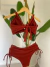 BIQUINI JANAINA COM HOT PANTS - Una Moda Praia Fitness Lingerie