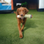 Imagen de Blunt Peluche para Perros Juguete