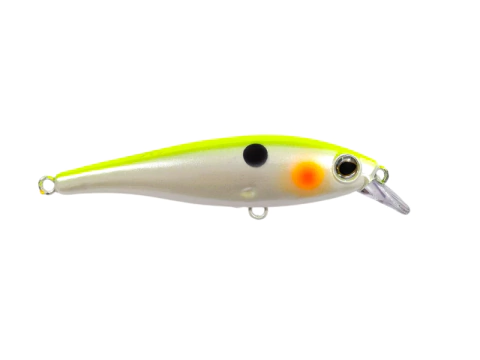 XT- Minow 80 - XTM016