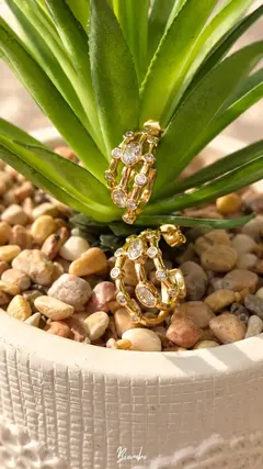 Aretes Varios