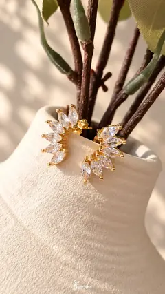 Imagen de Aretes Varios