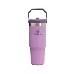 2X1 STANLEY FLIP STRAW