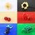 Mini Estúdio Fotográfico de Led Com 6 Fundos Para Fotos - comprar online