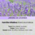 Vela Aromática - Jardins de Lavanda I 120g I 25h