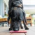 LICKIMAT TUFF PLAYDATE GREEN DOG en internet