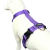 Imagen de Combo Paseo Urbano NatCan Arnés H + Correa Toy 3mts para perros pequeños