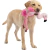 Flamenco de Peluche para Perros - tienda online
