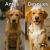 Imagen de 2x1 Espuma de Limpieza en Seco - Perros y Gatos