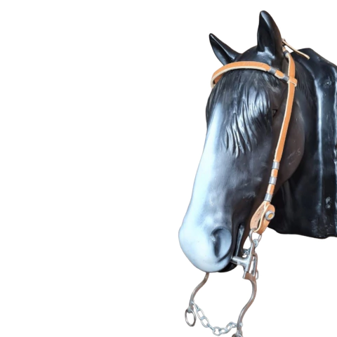 Cabeçada Com Fivela Em Cima