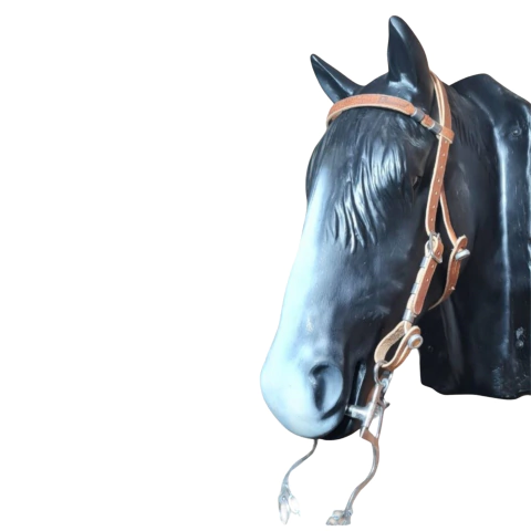 Cabeçada Com Pescoceira