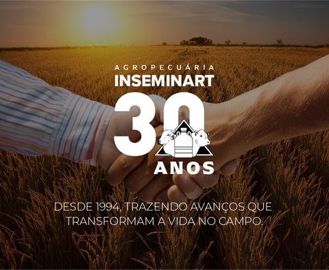 Carrossel 1