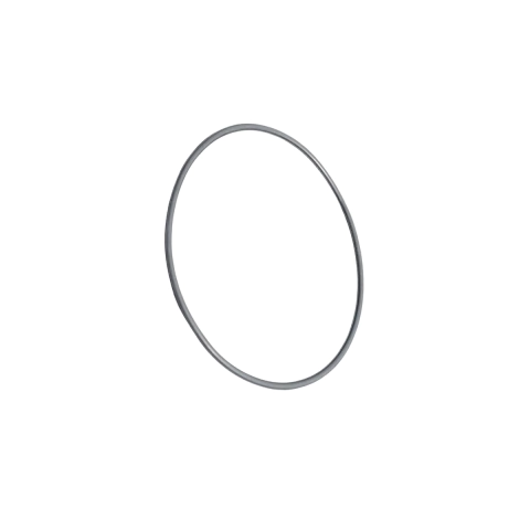 Anel Oring Bosch 1600210033