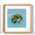 TORTUGA FONDO AZUL - tienda online