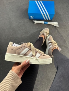 Adidas Campus - Bege - loja online