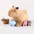 Capivara Mamãe com 4 filhotes - comprar online